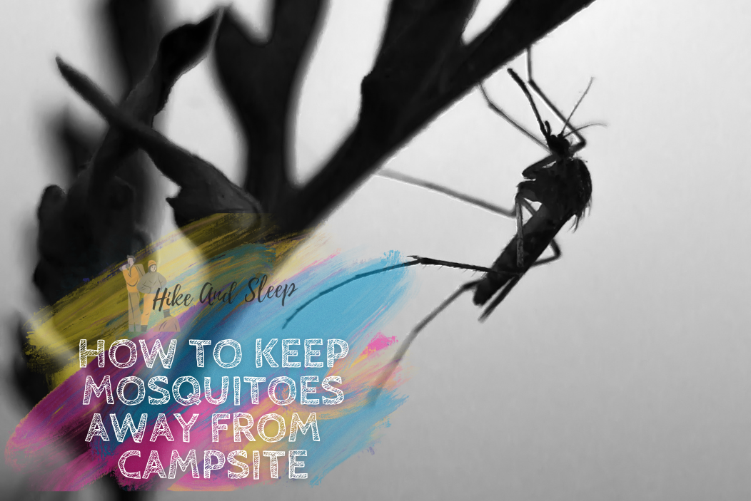 how to keep mosquitoes away from your campsite - featured image