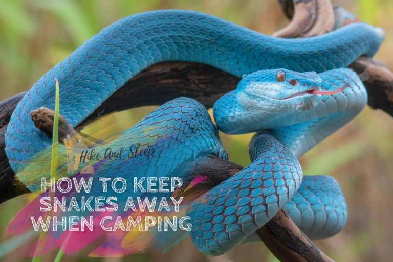 How To Keep Snakes Away When Camping