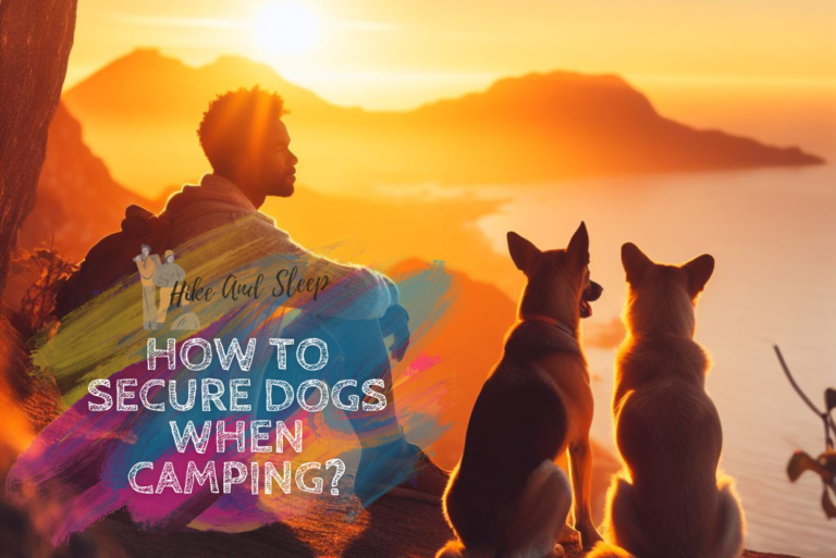 How To Secure Dogs When Camping?